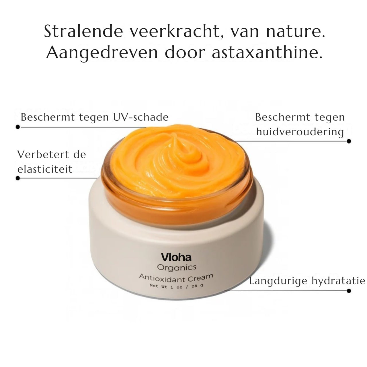Antioxidant Cream